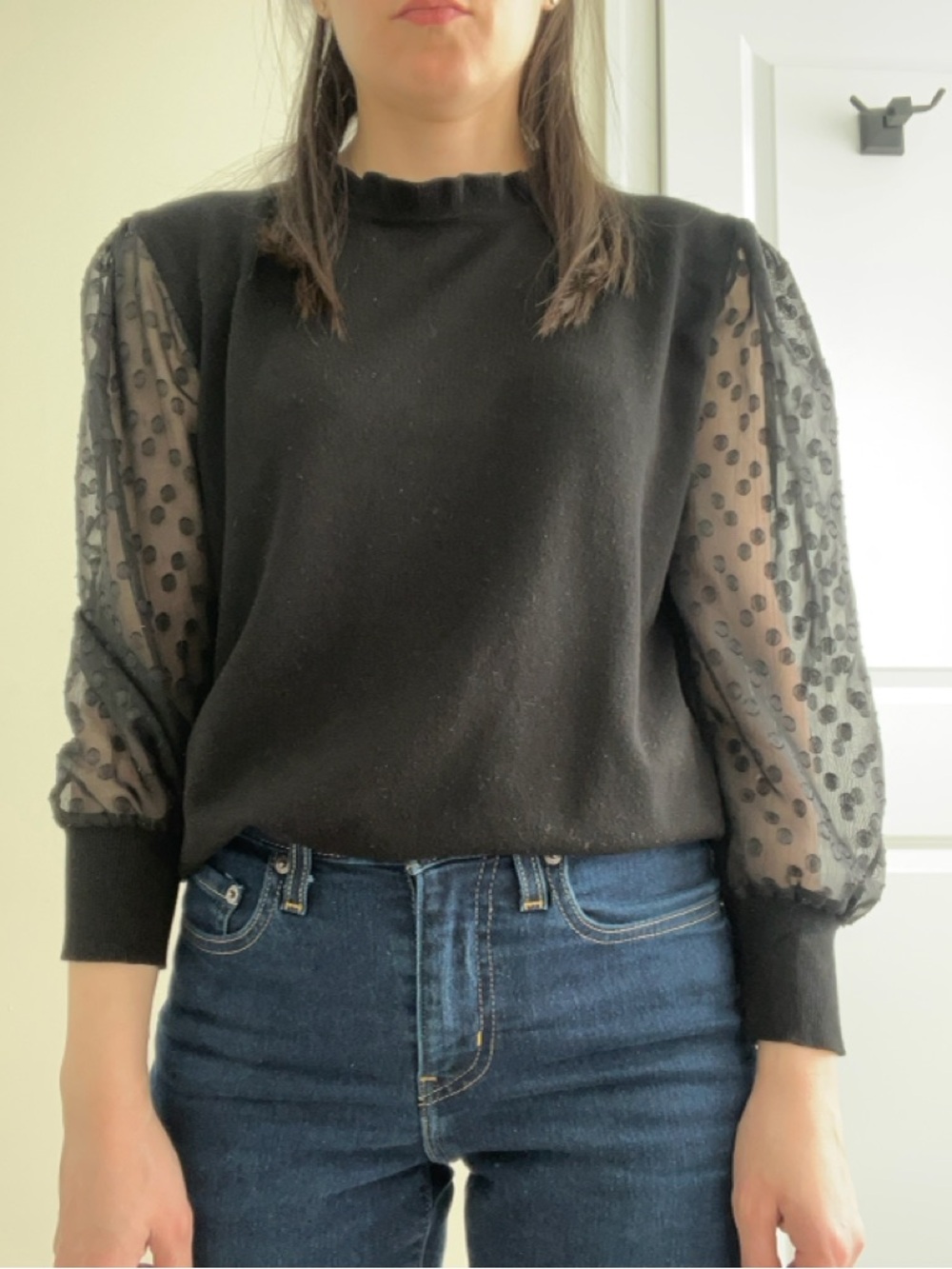 Adrianna Papell Black Sheer Dot Sleeve Crewneck Sweater